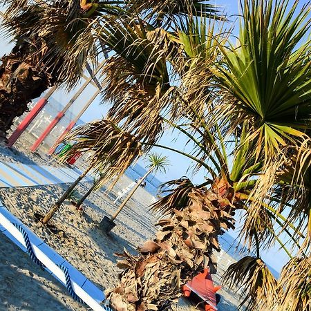 Hotel Villa Cesira Bellaria-Igea Marina Dış mekan fotoğraf